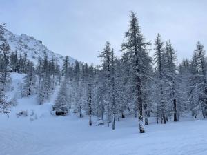 Appartements Pieds des pistes Briancon Prorel - Serre Chevalier : photos des chambres