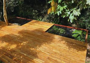 Unique House in Coffee Farm in heart of jungle