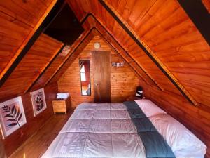 AVIVA CLUB - Cabañas