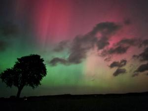 B&B Bauernhofferien auf Møn, Schäferwagen " DARK SKY"