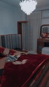 شقة فاخرة مفروشة في مدينتي