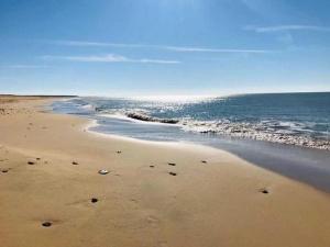 Campings Camping 4 etoiles - Piscine - eeebgi : photos des chambres