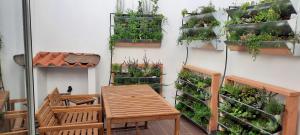 Pura Vida Alentejo by Portus Alacer