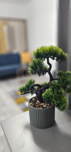 89 Apart Lux Fundeni