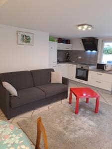 Chalets Gite de la Melch : Appartement 2 Chambres
