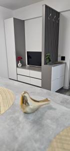 89 Apart Lux Fundeni