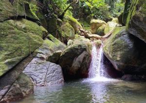 La Merecida, Nature Reserve, Coffee Cocoa Wellness