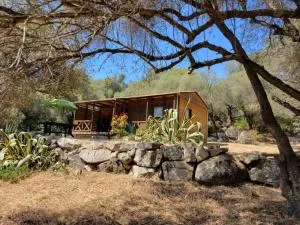 Chalet Cosy - U Nestru - Olmeto