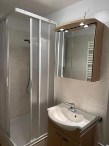 Traunkai Apartments - Zimnitz Blick