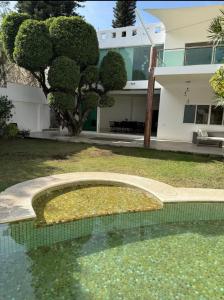 Casa del Árbol - Ubytování bez kategorie ve městě Cuernavaca