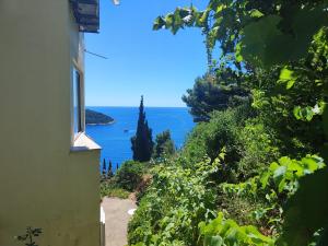 Apartment Blue Dream