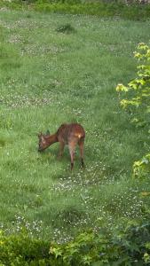 Domaine Les Fontaines