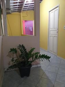 Apezinho da Mary Kit net em condominio Natal RN