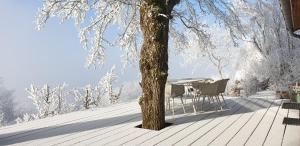 Lodges lodge-belvedere sur les hauteurs de vichy : photos des chambres
