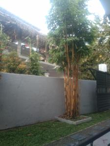 Danushka Family Guesthouse