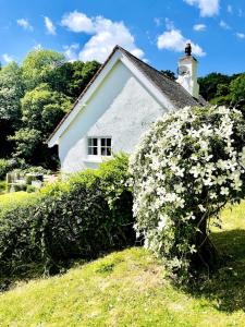 Pretty Dartmoor Cottage in woodland-setting