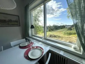 The Clinic apartment - Stugun