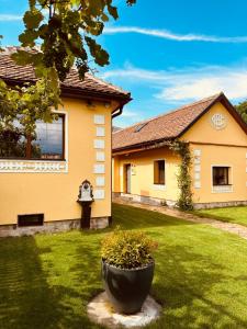 Joyard - Pensiune & Parc