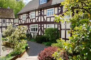 Hotel Dammühle - Gladenbach