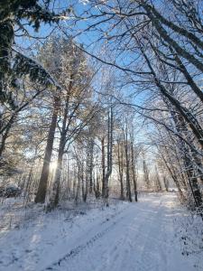 The Expedition apartment