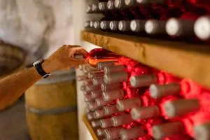 Kostantakis Winery Estate - Pollonia