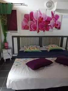 Gîte Anolis - Pombiray