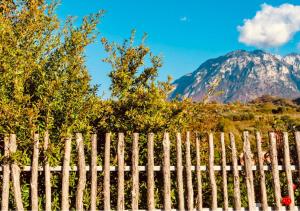Alpeta Agrotourism & Winery - Roshnik , Berat