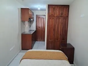 Departamento tipo estudio - Ambuquí