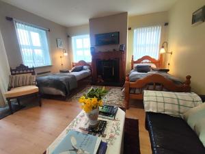 Ben Levy House Rental Suite, Clonbur Village