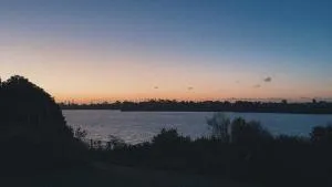 Stunning backyard with sea views - Port Waikato