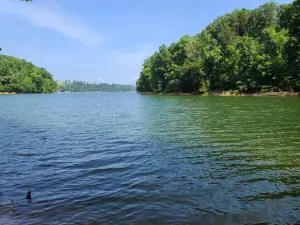 5 Cubs Lakehouse - Morristown