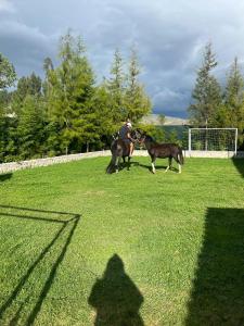 Rancho Mendoza Casa Hospedaje