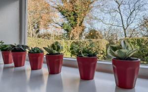 Planty - studio with bath tub