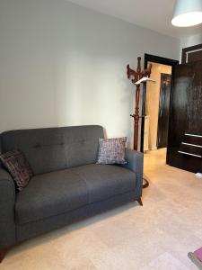 Golden Triangle Apartment Rental