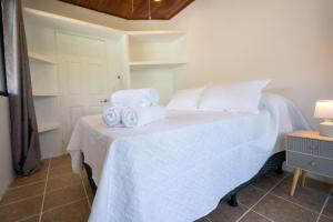 Mango Coliving Rooms for Digital Nomads