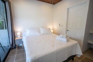 Mango Coliving Rooms for Digital Nomads