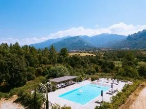 La tonnelerie, belle villa pour 9 personnes au coeur d'un vignoble avec piscine - Foce