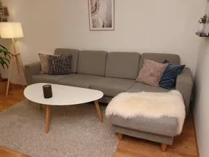 Praktisk leilighet på 51m3 leies ut - Tiller