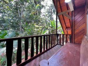 Jungle Mansion With Pool - Playa Negra