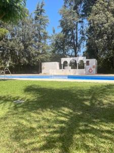 Pájaro Cantor Hoyo 16