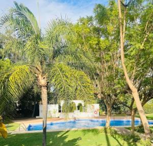 Pájaro Cantor Hoyo 16