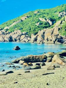 Đảo Bình Ba - không nhận khách quốc tế, view trực tiếp biển, phòng đơn - nhận cọc trước mới giữ phòng