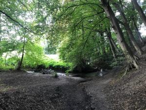 vakantiewoning Mechelder bij Het Plateau Heijenrath