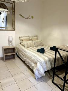 Le Cocon du Centre - Studio Cosy en hypercentre