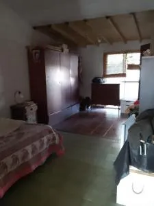 Las Ciruelas del Mar - 图伊海