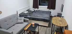 Apartmany Magura