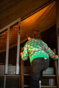 Inarden Yellowstone Cabin