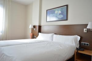 Double or Twin Room room in Hotel Palacio Congresos