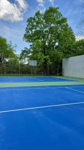 Poconos Mansion with Pool Hot Tub and Sauna Tennis and Lake