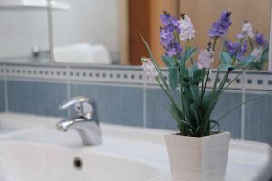 Apartments and Room Goran